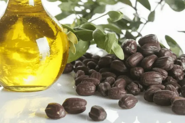 تصویر 1 از خرید روغن هسته خرما برای پوست + قیمت عالی باکیفیت